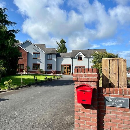 Roseberry House Bed & Breakfast Newcastle Emlyn Exterior photo